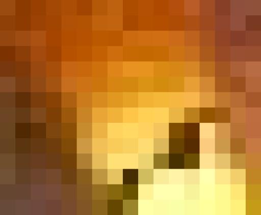 RXkWkIF24VzO3WiQx512